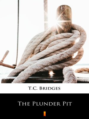 cover image of The Plunder Pit